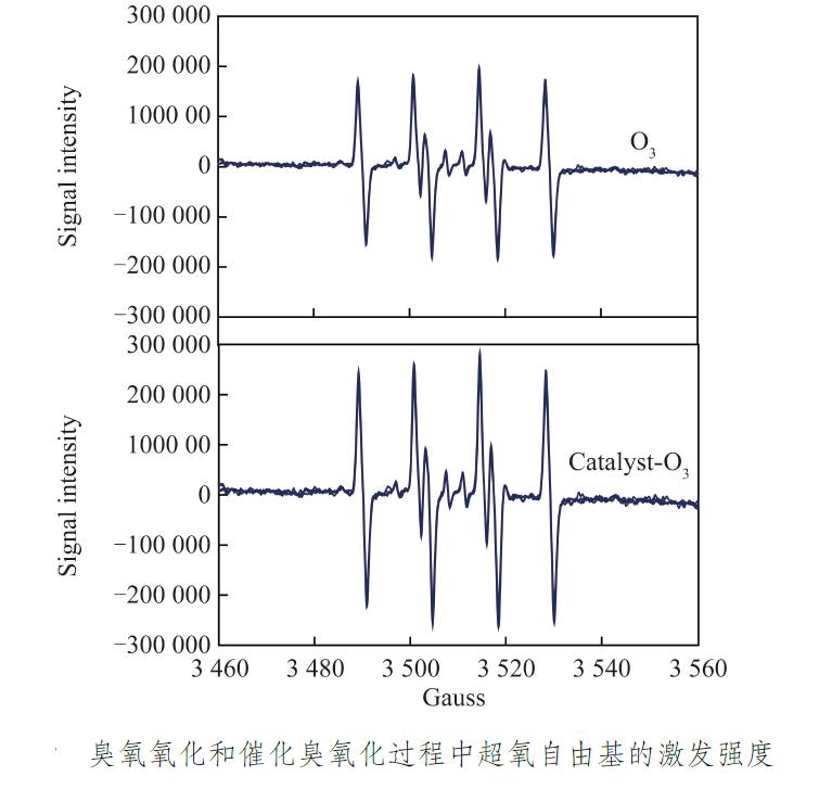 催化臭氧化反應器